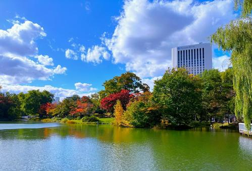 札幌中島公園エリアの街並み